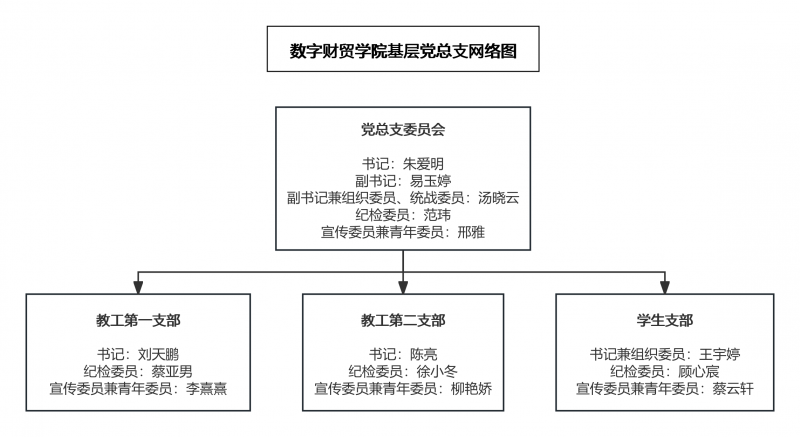 数字财贸学院基层党总支网络图.png